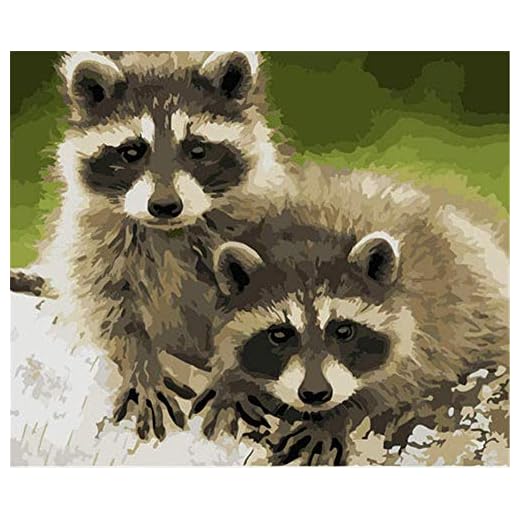 LSDEERE Måla efter siffror vuxen gör-det-själv handmålad oljemålning kit canvas gåva hem hus dekoration - 40 x 50 cm - djur 2 tvättbjörnar