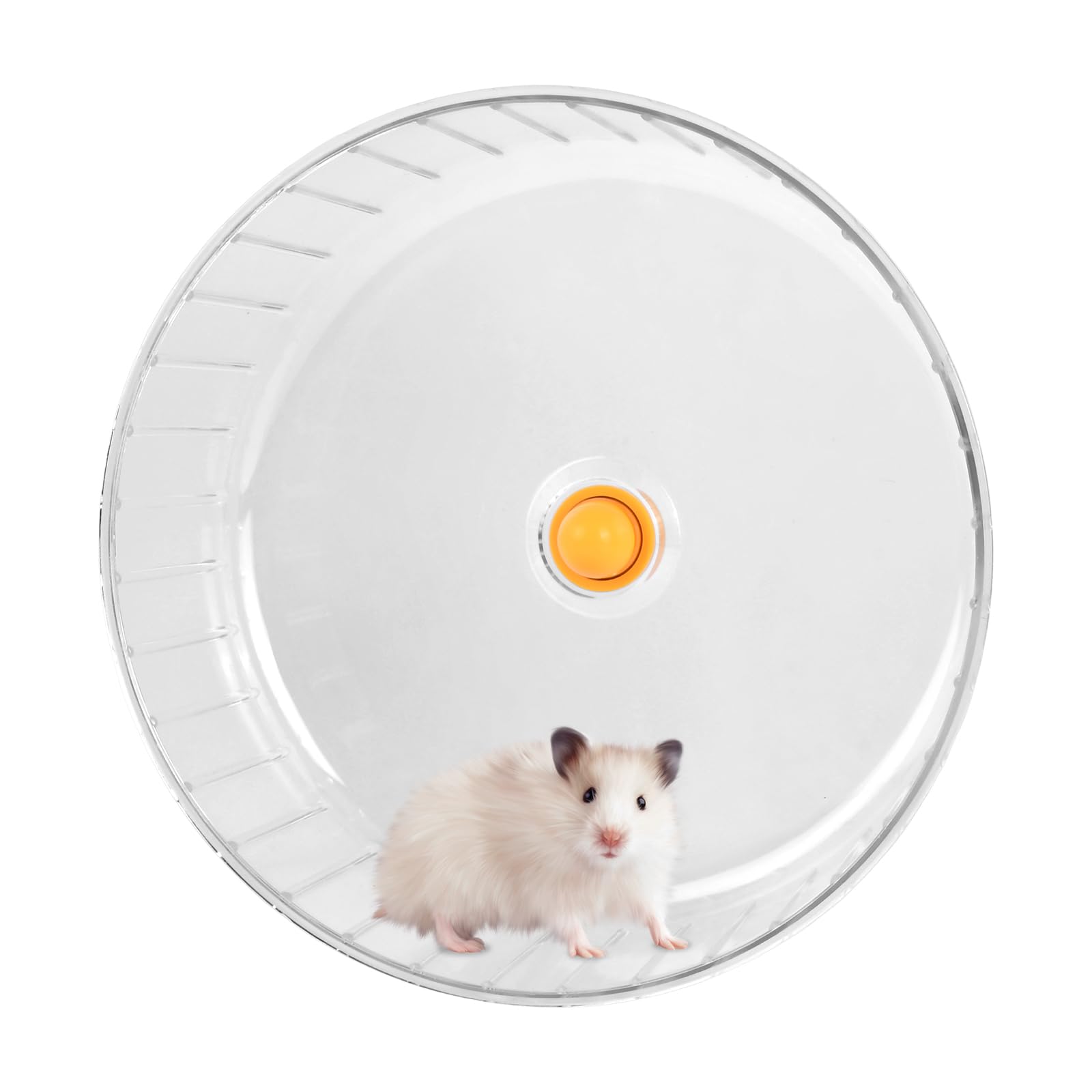 Ruota Criceto Silenziosa, 17 cm Dual-Bearing Criceto Esercizio Ruotas Tranquillo Spinning, Ruotas da Corsa per Criceti, Plastica Ruota da Corsa Trasparente per Gerbilli, Roditori, Topi，Orso d'oro