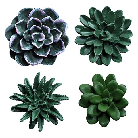 SOCOSY 3D Resin Succulent Fridge Magnets, Set of 4-Green Cover
