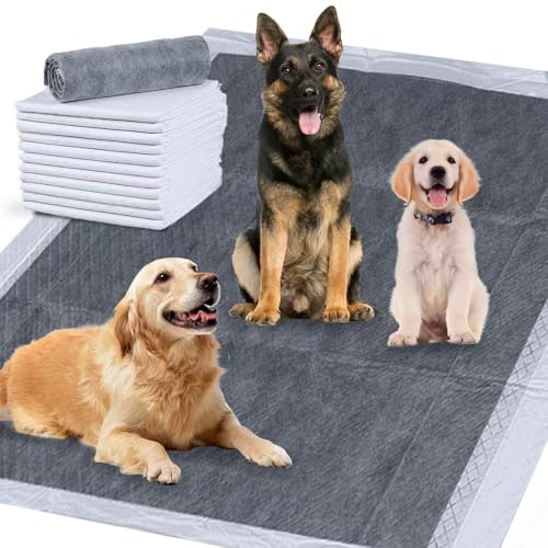 Image of Dog Pee Pads, 47x31 inches, Extra Large Disposable Training Pads with Activated Carbon, 30 Count