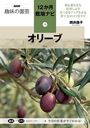 オリーブ 葉が黄色くなった原因 コガネムシの幼虫 土が酸性だった 水不足 石灰を買って混ぜてみた 家しごと