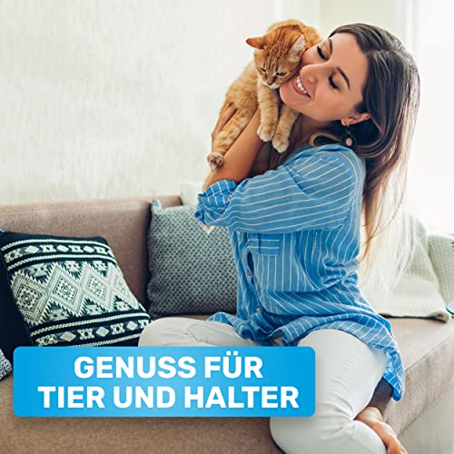 Entfilzungskamm BluePet für langhaarige Hunde und Katzen
