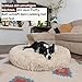 pfoten&nasen® Wolke 7 Hundebett M [Hellgrau, 75 cm] – Flauschiges Donut-Kissen für mittelgroße Hunde – Waschbar mit abnehmbarem Bezug – Kuschelig & Rund
