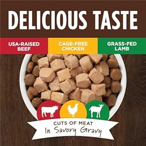 Instinct Healthy Cravings Grain Free Recipe Variety Pack Natural Wet Dog Food Topper by Natures Variety 3 Ounce pack of 12 Cucciolini Doodles Instinct healthy cravings grain free recipe variety pack natural wet dog food topper by natures variety 3 ounce pack of 12 cucciolini doodles