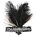 Sunbeter 1920 Flapper Headpiece Pavo Real Feather Headband Vintage con lentejuelas Rhinestone...