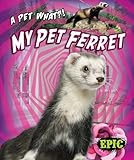 My Pet Ferret (Pet What?!)