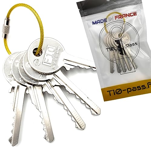 T10-PASS | Clé Pass PTT | F10, Q10, R10, S10, T10 | Haute Précision | Accessoire Indispensable pour Livreurs et Particuliers | Clés pass Partout de Boîtes...
