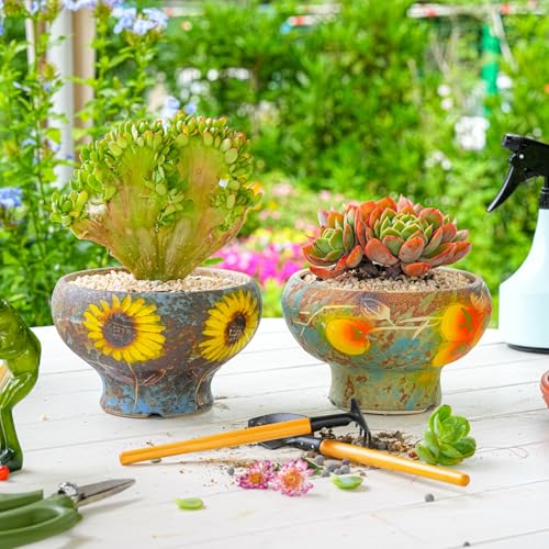 Image of Sungmor Small Succulent Planters Set of 2, Beautiful Hand Crafted Ceramic Plant Pots Cute Cactus Pot, 6.5 Inch Flower Pots for Indoor Plants with Drainage, Desktop Windowsill Home Office Decor Pots