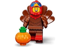 Thanks for Giving Turkey Costume (71034) Centerpiece