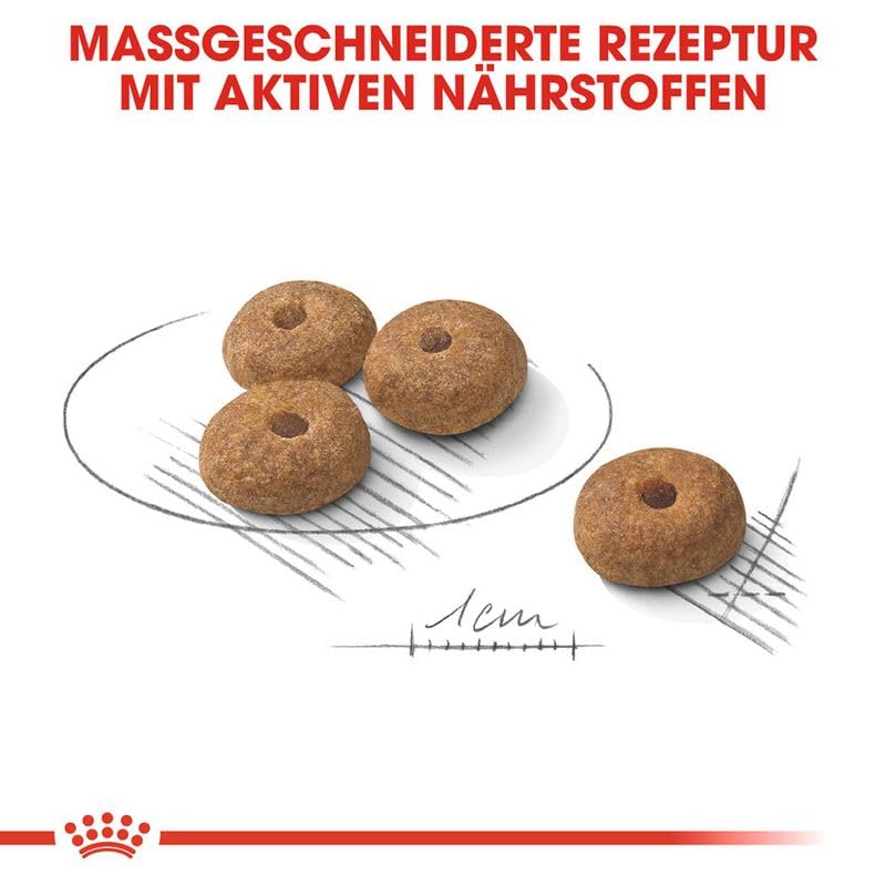 Royal Canin Mini Sterilizzato per Cani Sterilizzati di Piccola Taglia (fino a 10 kg) a partire dai 10 Mesi, Controllo del Peso, 7.5 kg