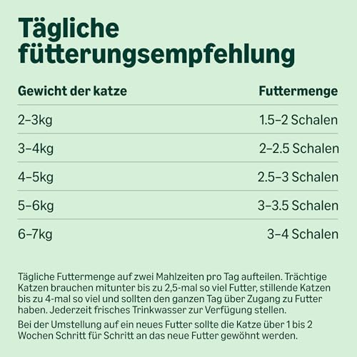 Lifelong by Amazon Katzenfutter, nass, Pastete mit Rind, 100 g, 16 Stück