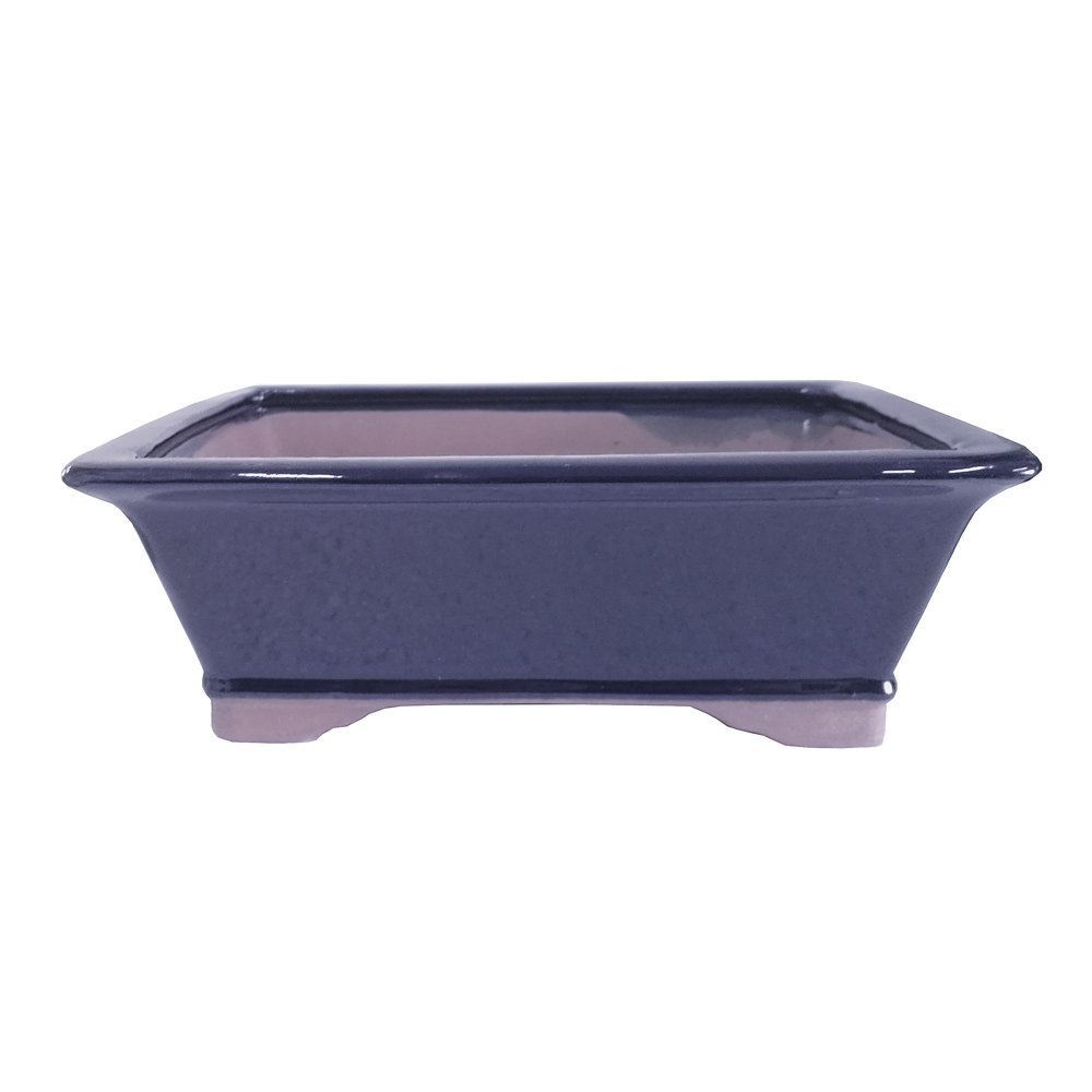 Brussel's 10 Rectangle Bonsai Glazed Ceramic Pot