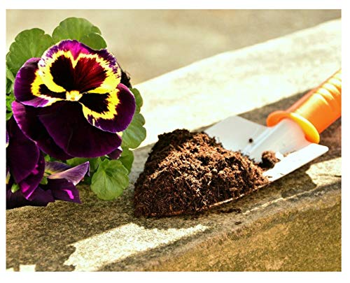 Potting Compost for House Plants - 1 Litre Soil - One Convenient Block for 1000ml soil (Add water to rehydrate)