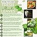 Rani Fresh Mint (Pudina) Leaves 1.5oz - 2oz, Pack of 1 ~ All Natural | Vegan | Gluten Friendly | NON-GMO | Product of USA