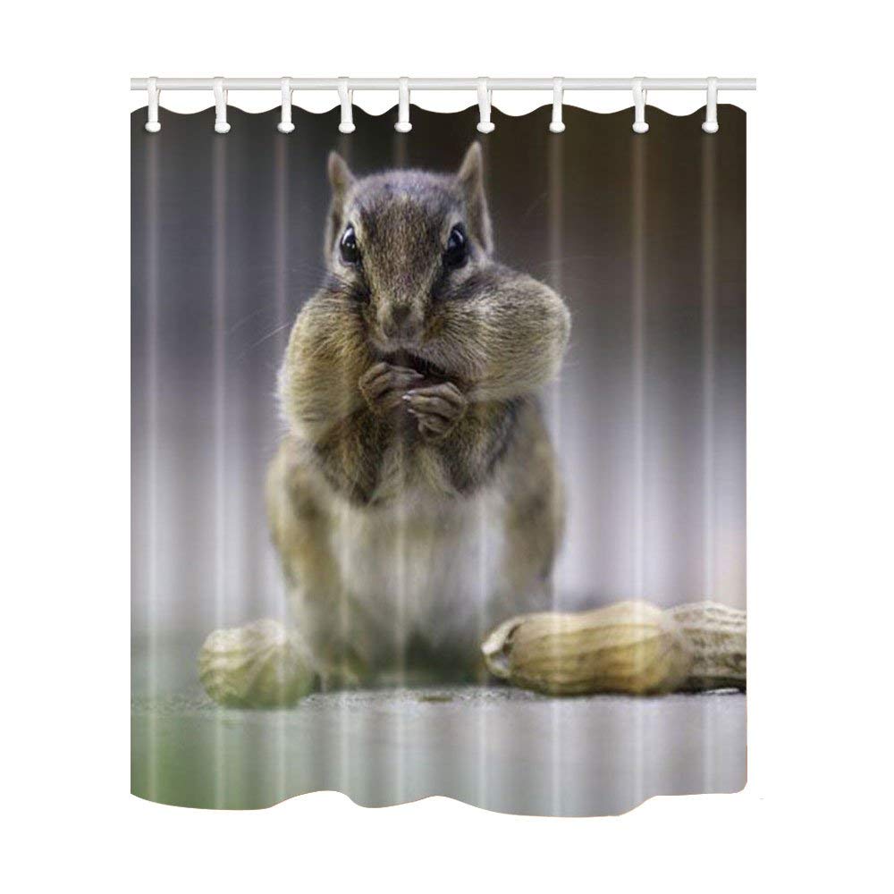 Animal Shower Curtain, Squirrel Eats Seanuts Waterproof Polyester Fabric Bathroom Curtains