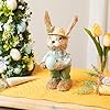 Northlight spring sisal standing easter bunny rabbit figure with robins egg 10  urban country home decor