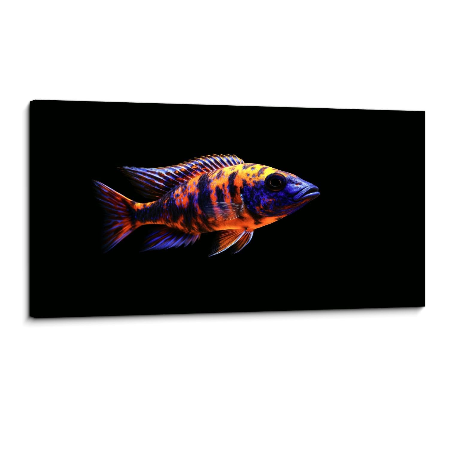 Canvas Wall Art Prints aulonocara ob african cichlid fish european pictures Large Framed Wall Art Painting Artwork Poster Hanging Home Decor for Living Room Office Bathroom 20"x40"