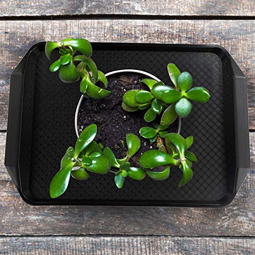 Neadas Nero Vassoio Vassoi Plastica Rettangolare