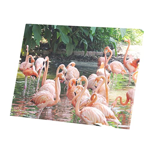Tableau flamants roses affiche déco haut de gamme toile tendue 80x60