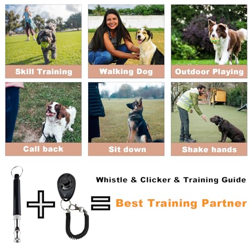 Duuclume Hundetrainingsset-Hundeleckerli-Tasche mit Hundeklicker und leiser Pfeife mit Lanyard, freihändiges Training Welpenleckerli-Tasche einschließlich Karabiner für Haustiere im Freien(Grau)