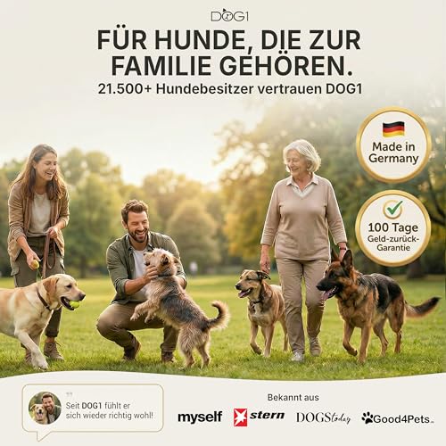 DOG1 Probiotika Pulver für Hunde – Made IN Germany - Unterstützt Darmflora & Verdauung - Probiotika Hund bei Durchfall - Präbiotika & Darmkur Pulver – Von Tierärzten entwickelt - 100g