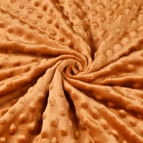 Image of Baby Blanket, Soft Minky Warm Blanket for Boy or Girl, Receiving Blanket with Double Layer Dotted Backing for Newborns Nursery Stroller Toddlers Crib Bedding (30 x 40 Inch) (Forest Animals)
