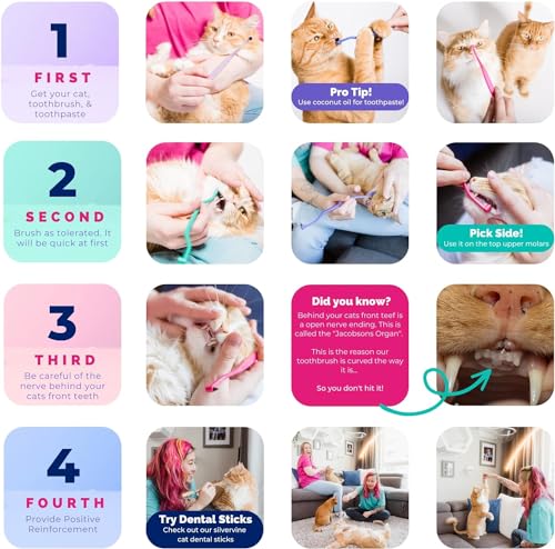 Image of RYERCAT Dual Sided Cat Toothbrush - Kitten Toothbrush with Micro Head (Very Small) for Custom fit - Cat Dental Care Supplies - Pet Toothbrush for Cats (Shamrock Green)