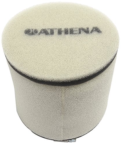 Athena S410210200033 Filtro de Aire