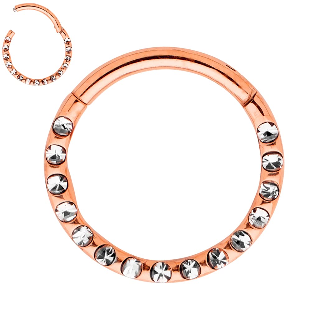 365 Sleepers G23 Anillo de segmento con bisagras de gema unisex de titanio Helix Tragus Septum Clicker Nariz Labio Aro Pendiente Piercing para el cuerpo Joyería