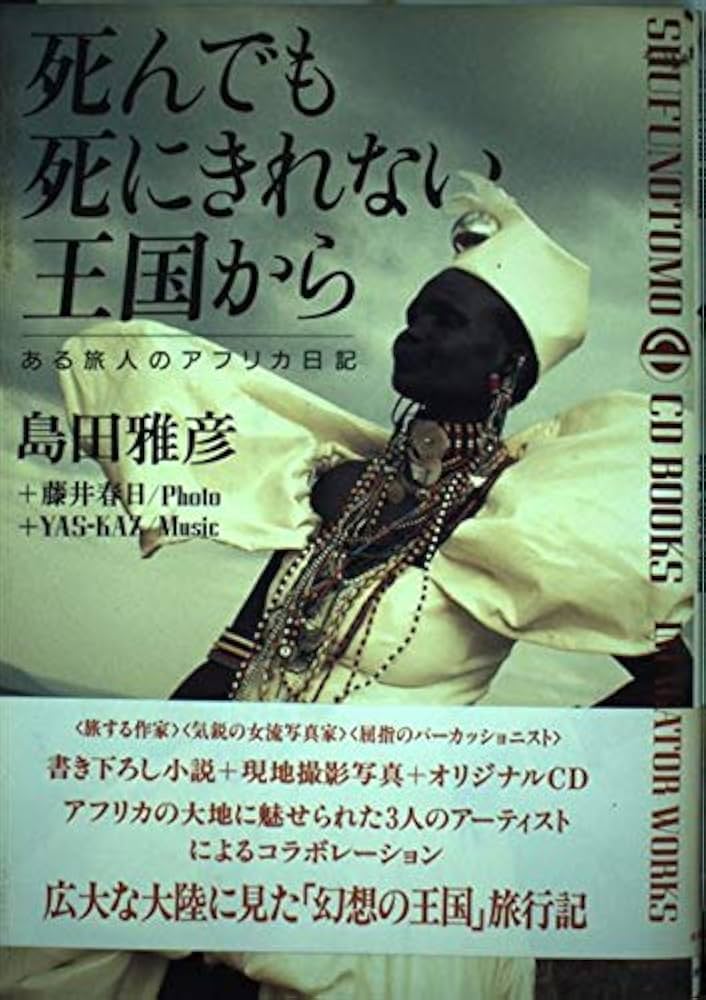 シルエットロマンス　危険の代償　小説　ブリタニーヤング Amazon.com: 危険の代償(シルエットロマンス): 9784833572019