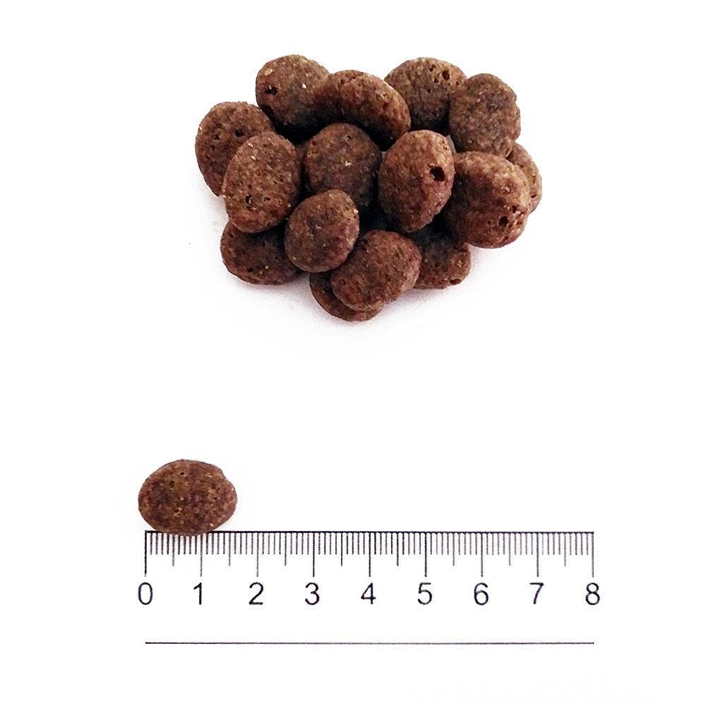 hundebetten rund Orthopädisches Hundebett | Rund & Anpassbar main image 0