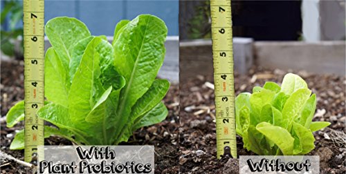 Plant Probiotics - Shaker Jar miniatura 3
