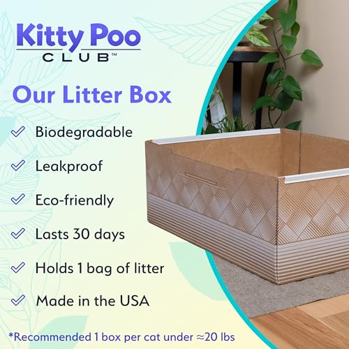 Leakproof Disposable 2-Pack Cat Litter Box Only - Made in The USA | Unmatched Odor Control | Recyclable &mdash; Kitty Poo Club