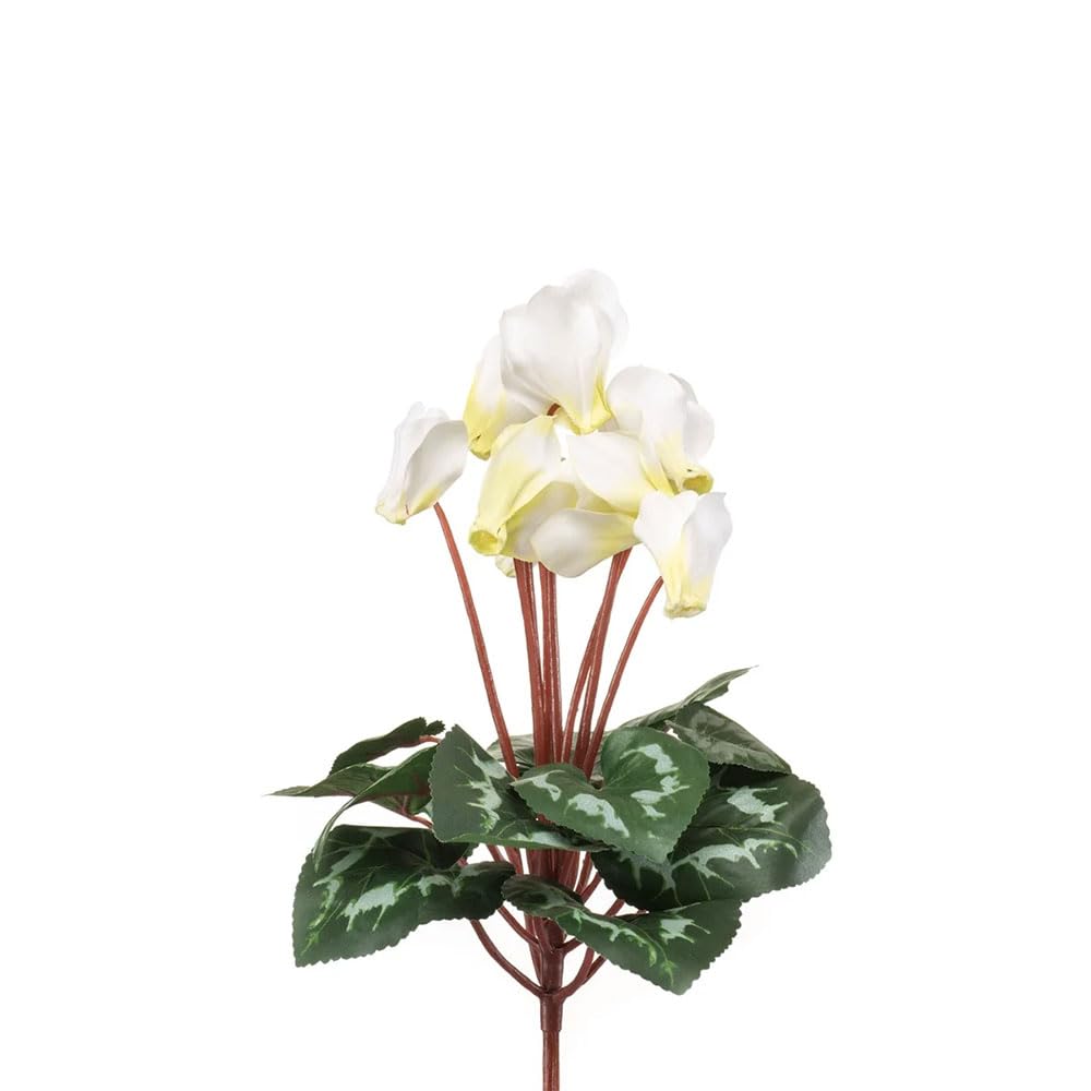 FloristryWarehouse Faux Silk Cyclamen Bush 8 Flower Heads With Leaves 30cm/12 Inches White