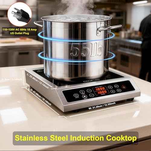 Induction Cooktop Double Burner Portable