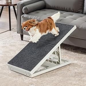 2 in 1 Dog Ramp Bed Adjustable Folding Collapsible for Small Medium Pets Cat Ramp with Non Slip Carpet, Adjustable Height Dog Ramp for Couch,Sofa,Chair