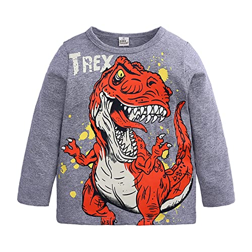 Camisetas infantis de manga comprida para bebês meninos com estampa de dinossauro, manga comprida, g