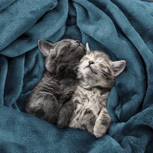 Image of Utopia Bedding Fleece Blanket King Size Stone Blue 300GSM Luxury Fuzzy Soft Anti-Static Microfiber Bed Blanket (90x102 Inch)