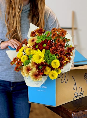 Benchmark Bouquets AR-16701 16 Stem Chrysanthemum Daisies, Glass Vase Included, Gift Fresh Flowers thumb #1