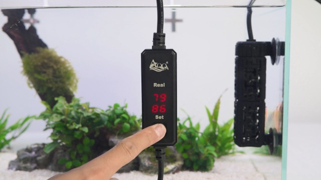 Amazon | AQQA 水槽 ヒーター 15~34℃ 温度調節可能 お手入れ可能 小型