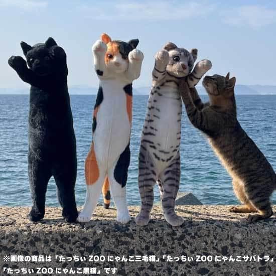 Amazon.co.jp: たっちぃZoo にゃんこ 黒猫 くろねこ 猫のぬいぐるみ