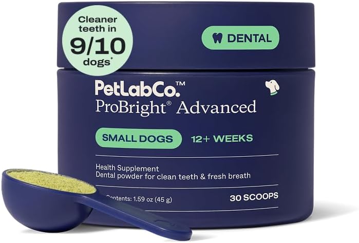Say Goodbye to Bad Dog Breath: Review of PetLab Co. ProBright Dental Powder