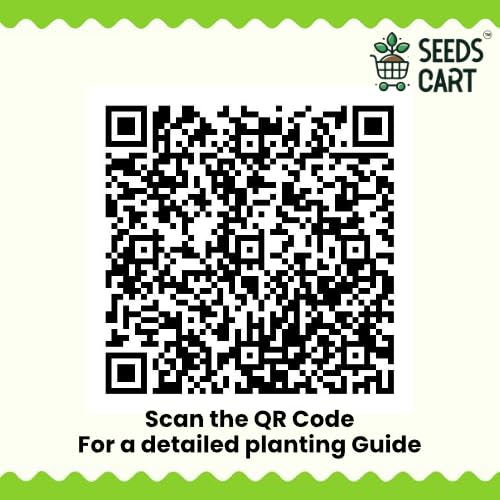 Image of Indian Veggie Combo (Tomato,Chilli, Brinjal, Okra, Capsicum) Planting Seeds | Non-Hybrid, Open Pollinated And Non-GMO | Vegetable Seed For Farming, Home & kitchen Garden (Approx 960)