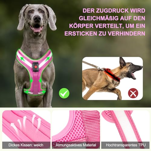 PZRLit Hundegeschirr Leuchtend, Leuchtgeschirr für Hunde Aufladbar, Leuchtendes Hundegeschirr LED, Leucht Geschirr für Hunde Reflektierend mit Licht Sicherheit im Dunkeln-Rosa, Extra Groß