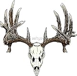Whitetail Deer Skull - Sticker Graphic - Waterproof - Fade Resistant Die Cut