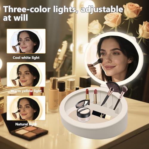 Espejo Ovalado con Luz LED y Almacenamiento USB Recargable miniatura 4