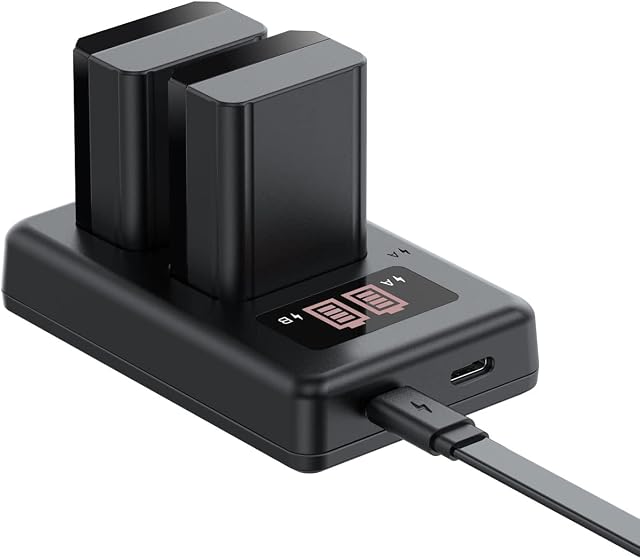 NP-FW50 Camera Battery Charger Set, 2-Pack 1100mAh Replacement Batteries, Dual Slot Battery Charger with Type C & Micro USB Ports for Sony A6000 A6400 A6300 A6500 A7 A7II A7RII A7SII A7S A7R A7R2, etc
