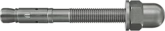 fischer FAZ II Plus 12/10 R Bolt Anchor with Cap Nut Heavy Duty Anchor for Fixings of Heavy Loads with Service Life Over 120 Years, Seismic & ETA Approval, Installation without Drill Hole Cleaning