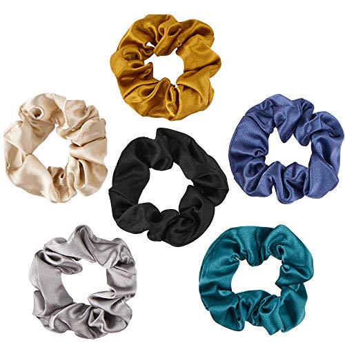 Hair Silk Scrunchies Satin Elastic Hair Bands Velvet Scrunchy Chiffon Hair Ties Ropes Scrunchie for Women Girls Hair Accessories (Satin 2-6PCS)