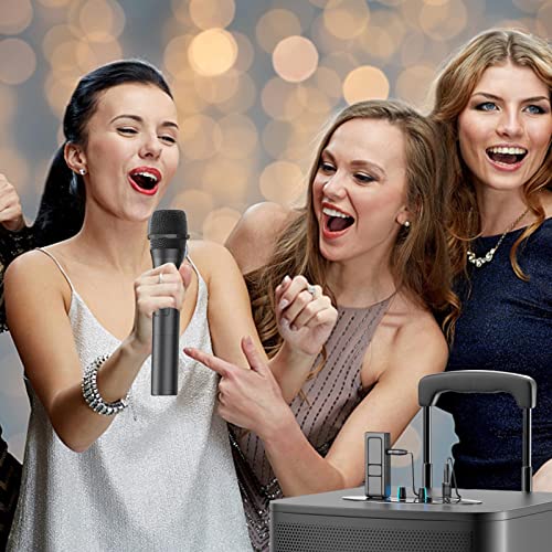 Microfone de karaokê - Sistema de microfone sem fio dinâmico de metal com receptor recarregável,Micr